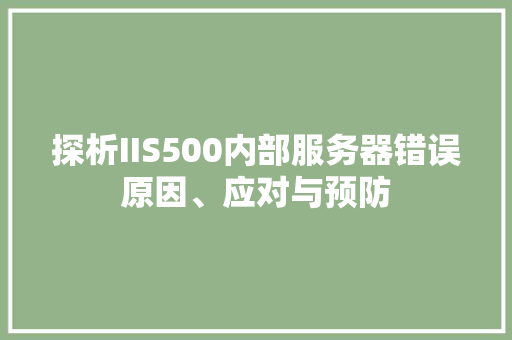 探析IIS500内部服务器错误原因、应对与预防