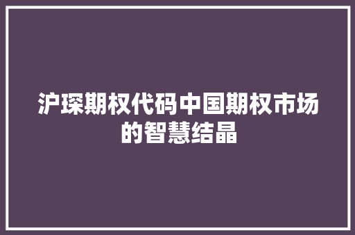 沪琛期权代码中国期权市场的智慧结晶