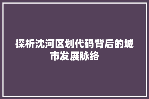 探析沈河区划代码背后的城市发展脉络  第1张