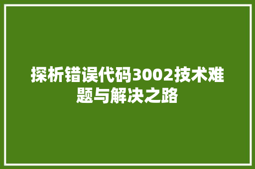 探析错误代码3002技术难题与解决之路