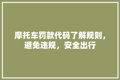 摩托车罚款代码了解规则，避免违规，安全出行