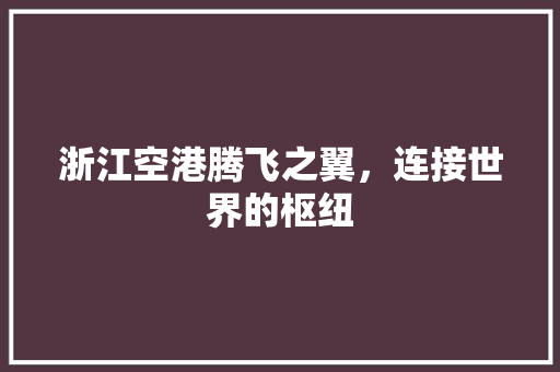 浙江空港腾飞之翼，连接世界的枢纽
