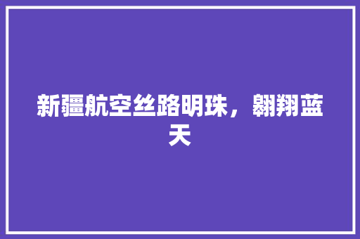 新疆航空丝路明珠，翱翔蓝天