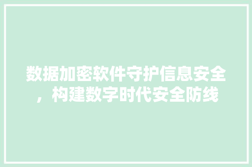 数据加密软件守护信息安全，构建数字时代安全防线