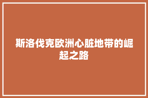 斯洛伐克欧洲心脏地带的崛起之路