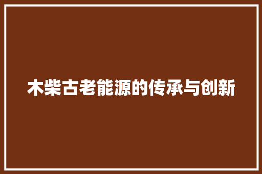 木柴古老能源的传承与创新