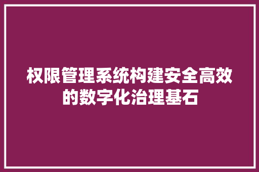 权限管理系统构建安全高效的数字化治理基石
