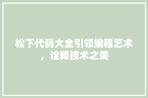 松下代码大全引领编程艺术，诠释技术之美