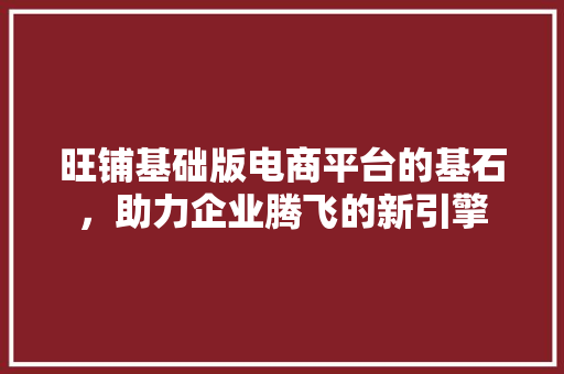 旺铺基础版电商平台的基石，助力企业腾飞的新引擎  第1张