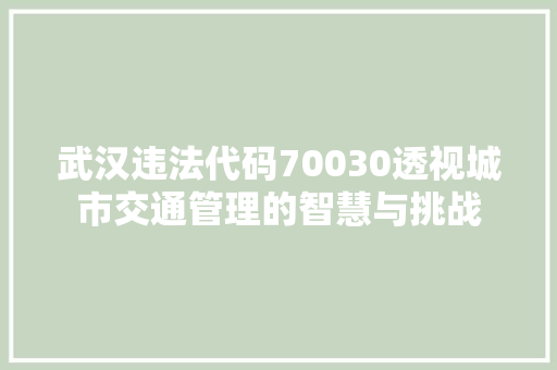 武汉违法代码70030透视城市交通管理的智慧与挑战