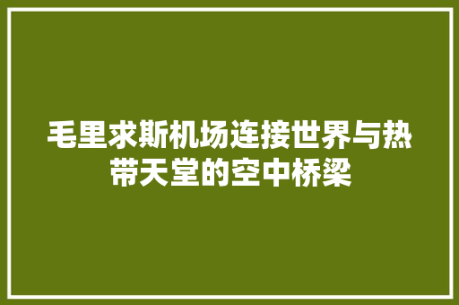 毛里求斯机场连接世界与热带天堂的空中桥梁