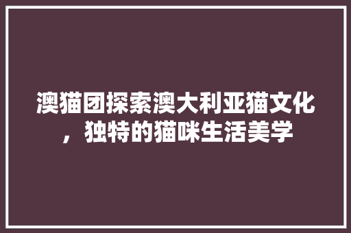 澳猫团探索澳大利亚猫文化，独特的猫咪生活美学