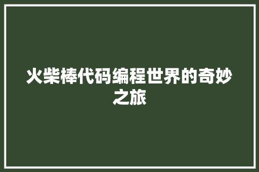 火柴棒代码编程世界的奇妙之旅