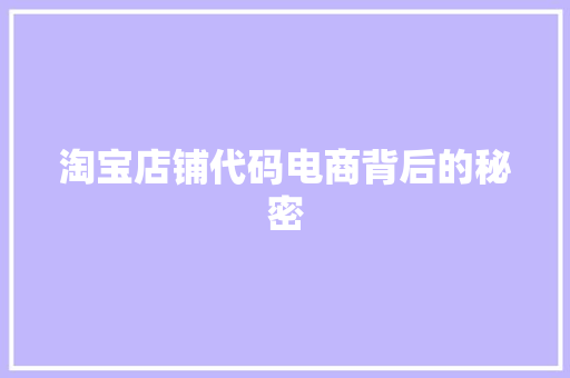 淘宝店铺代码电商背后的秘密