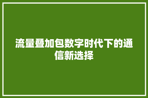 流量叠加包数字时代下的通信新选择