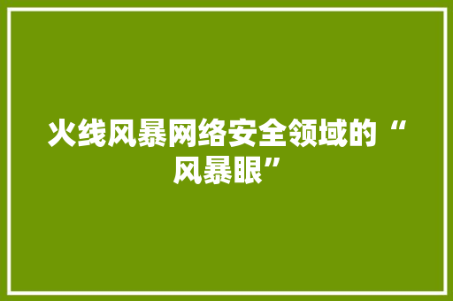 火线风暴网络安全领域的“风暴眼”
