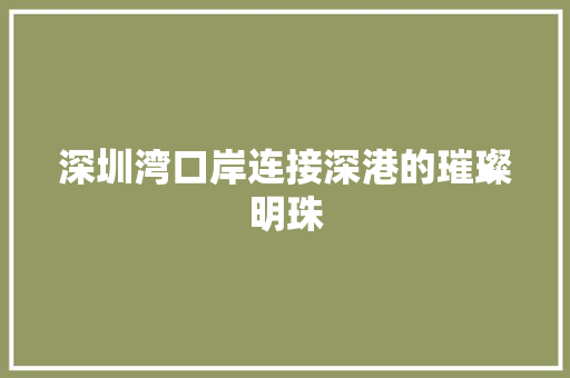 深圳湾口岸连接深港的璀璨明珠