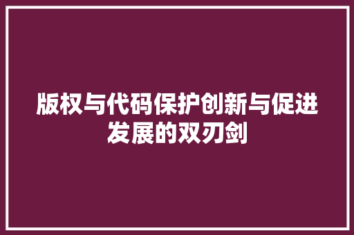 版权与代码保护创新与促进发展的双刃剑