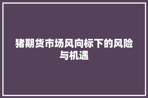 猪期货市场风向标下的风险与机遇