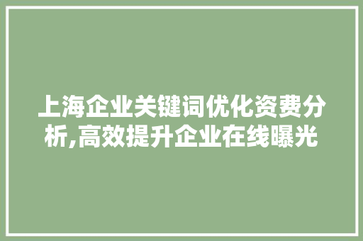 上海企业关键词优化资费分析,高效提升企业在线曝光度