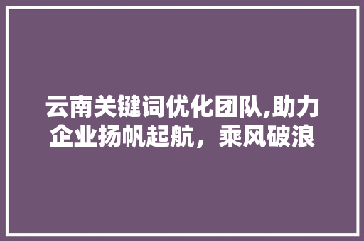 云南关键词优化团队,助力企业扬帆起航，乘风破浪