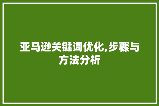 亚马逊关键词优化,步骤与方法分析