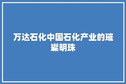 万达石化中国石化产业的璀璨明珠