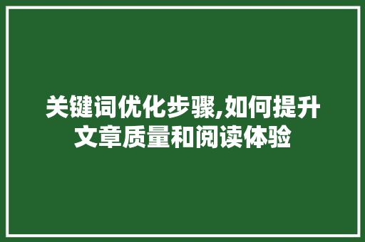 关键词优化步骤,如何提升文章质量和阅读体验