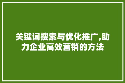 关键词搜索与优化推广,助力企业高效营销的方法