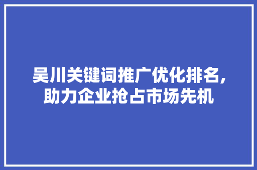 吴川关键词推广优化排名,助力企业抢占市场先机