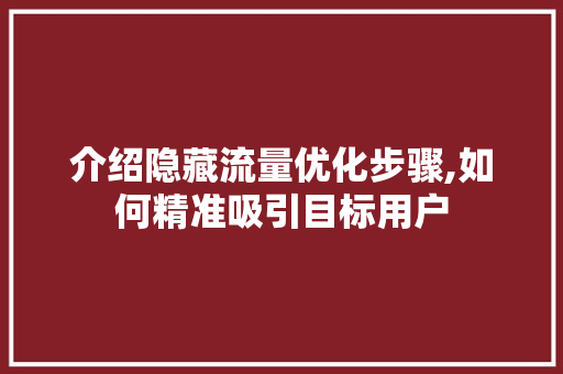 介绍隐藏流量优化步骤,如何精准吸引目标用户