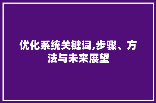 优化系统关键词,步骤、方法与未来展望
