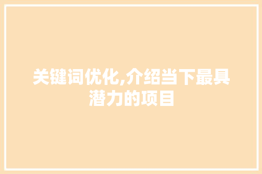 关键词优化,介绍当下最具潜力的项目