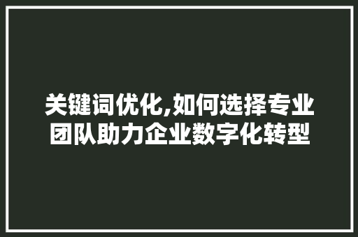关键词优化,如何选择专业团队助力企业数字化转型  第1张