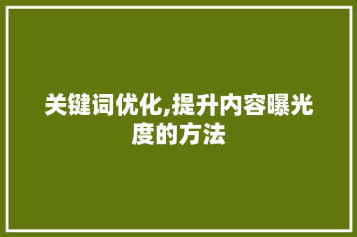 关键词优化,提升内容曝光度的方法