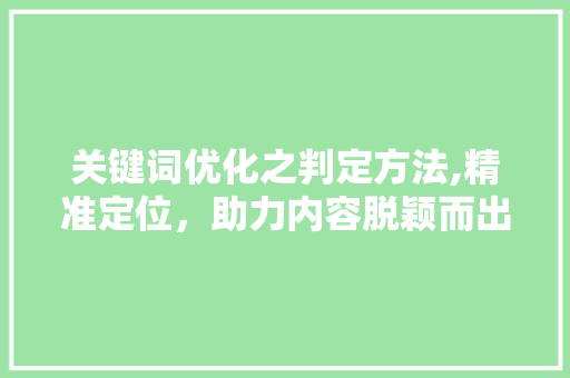 关键词优化之判定方法,精准定位，助力内容脱颖而出